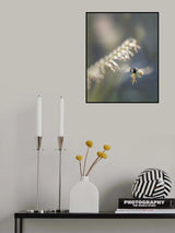 Low Fly Zone Poster och Canvastavla