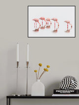 Flamingos in the mist Poster och Canvastavla
