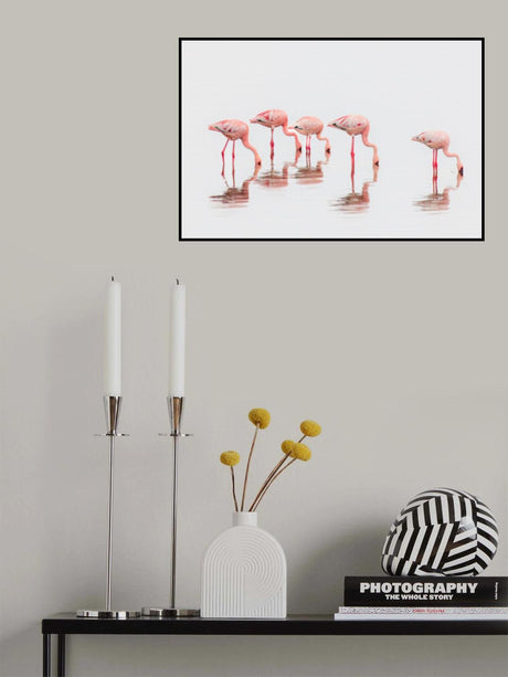 Flamingos in the mist Poster och Canvastavla