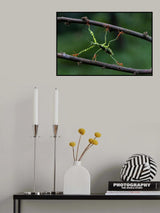 Gotong Royong Poster och Canvastavla