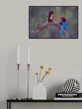 love is in the air Poster och Canvastavla