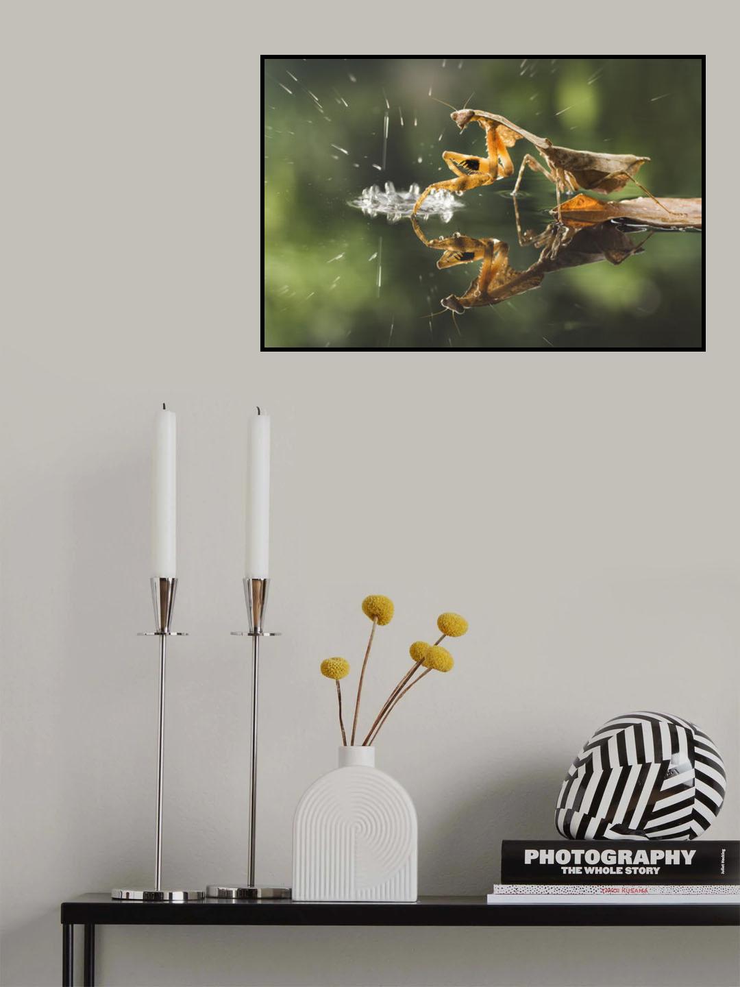 Reflection Poster och Canvastavla