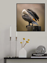 Preening Poster och Canvastavla