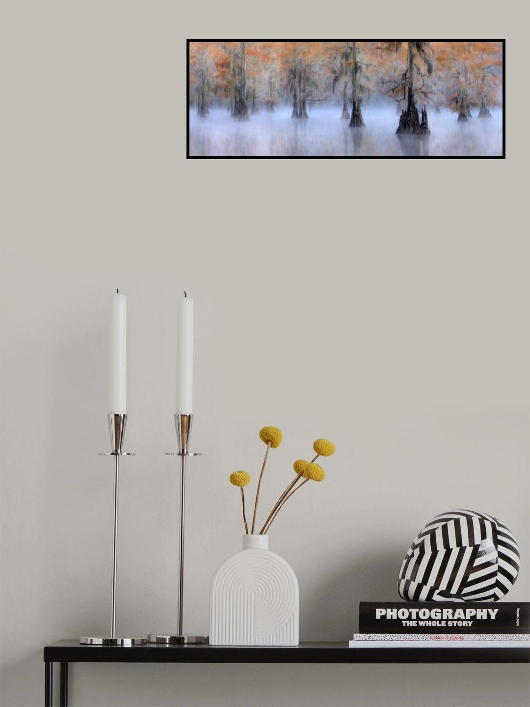 Caddo Lake Poster och Canvastavla