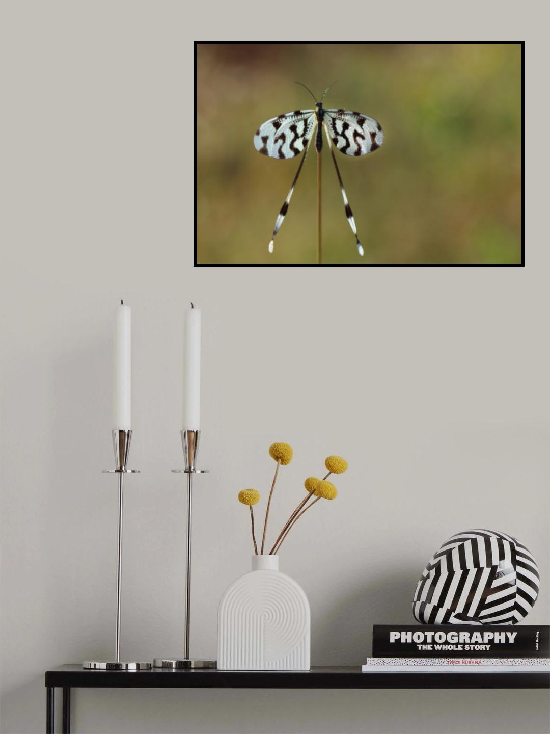 Spoonwing Poster och Canvastavla