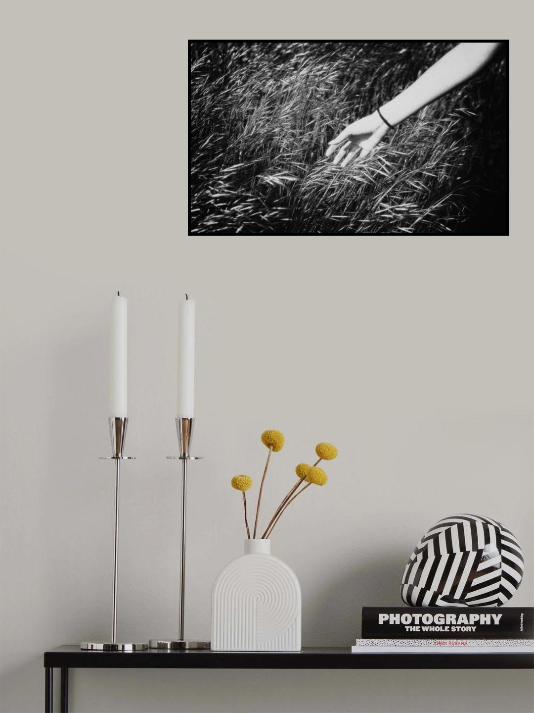 In my place... Poster och Canvastavla
