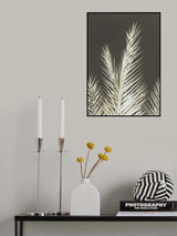 Phoenix Poster och Canvastavla