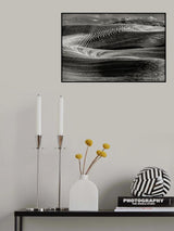 Artistic wheat fields Poster och Canvastavla