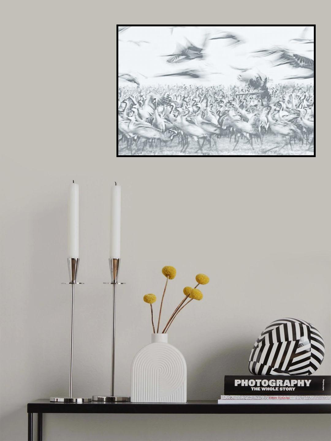 Poster och Canvastavla