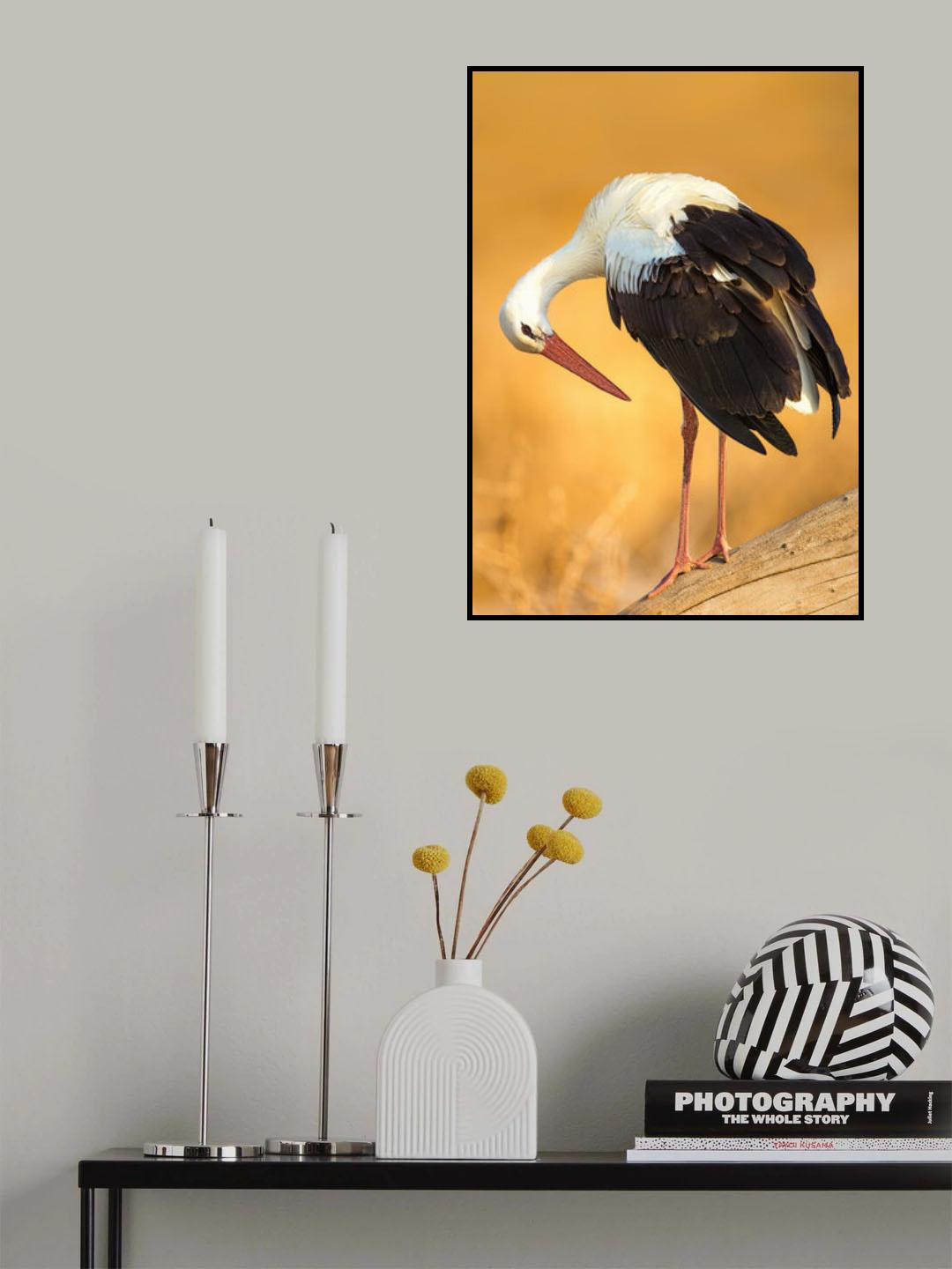 Is It Good ? Poster och Canvastavla