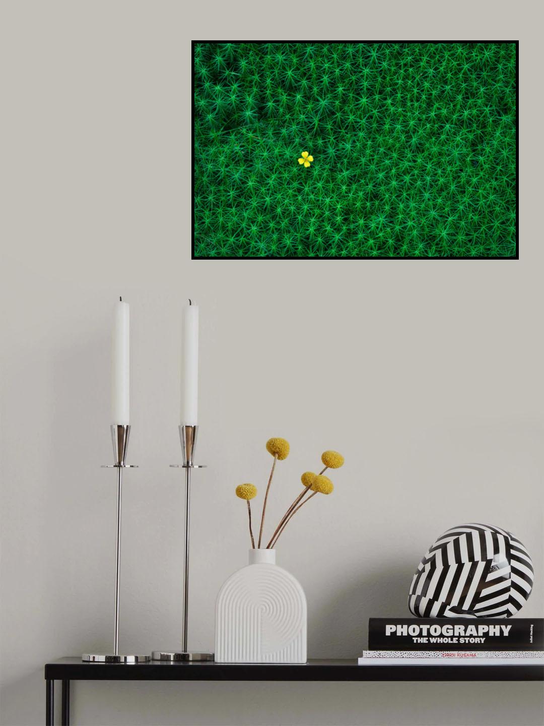 A small flower growing amongst the moss called "bearmoss" in Swedish Poster och Canvastavla