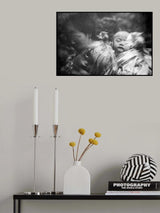 rain travellers Poster och Canvastavla