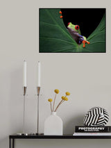 Peek a boo Poster och Canvastavla