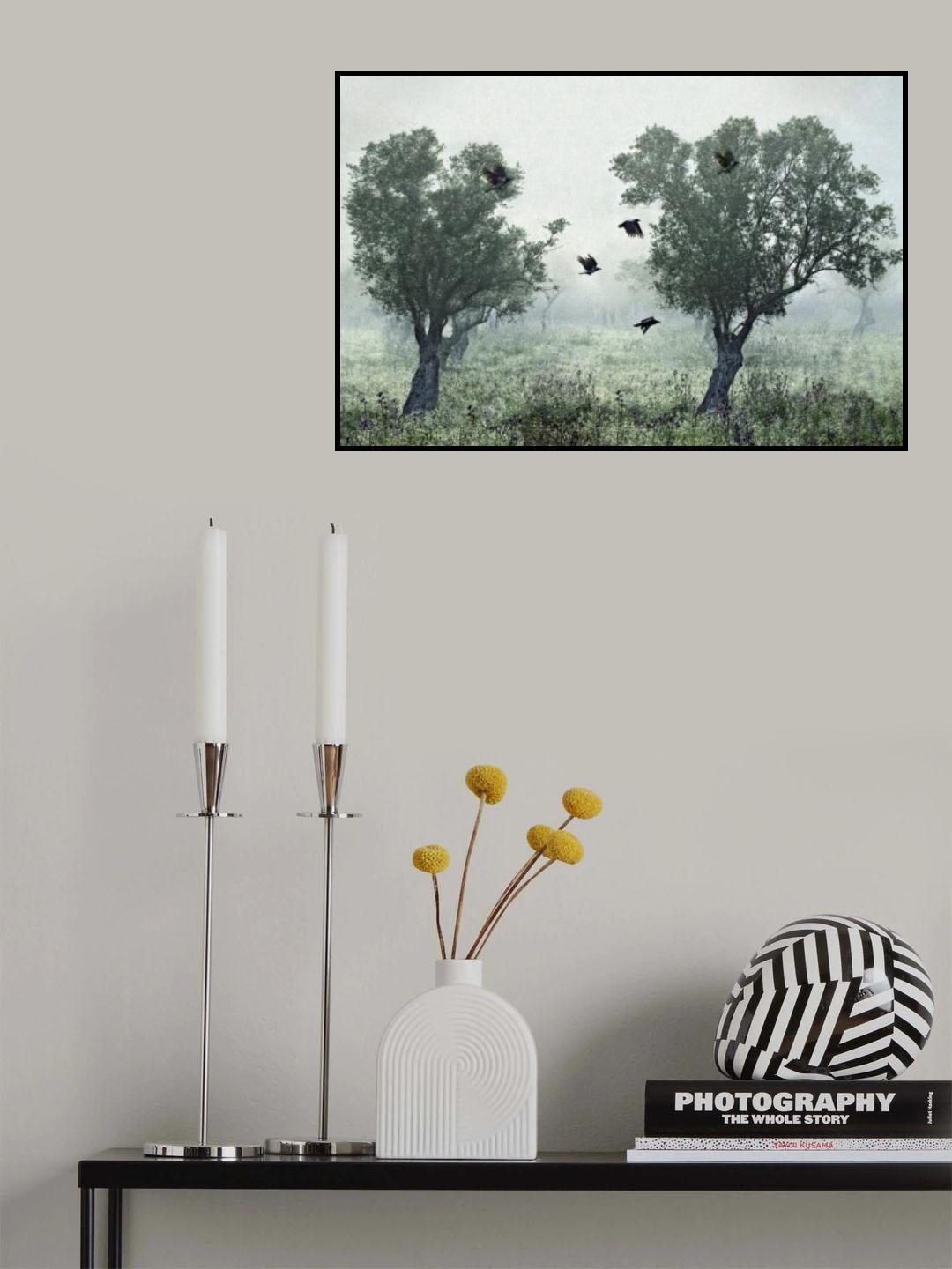 Crows in the mist Poster och Canvastavla