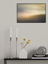 Cow farm Under mist Poster och Canvastavla