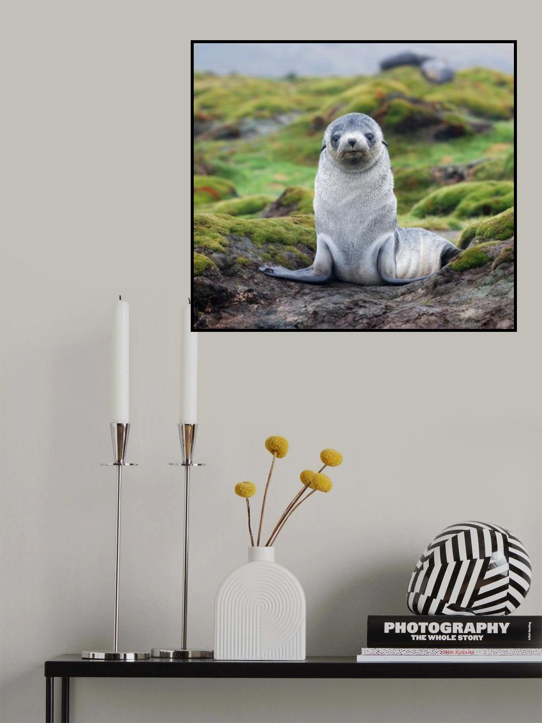 Am I Cute Enough Poster och Canvastavla