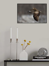 Black Kite Poster och Canvastavla