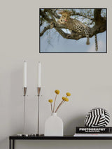 How tasty you are! Poster och Canvastavla