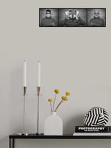 Evolution Poster och Canvastavla