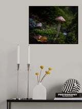 In the Selvapiana forest Poster och Canvastavla