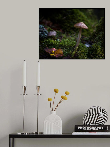 In the Selvapiana forest Poster och Canvastavla