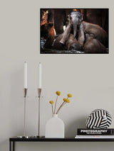 THE little PRINCE .... Poster och Canvastavla