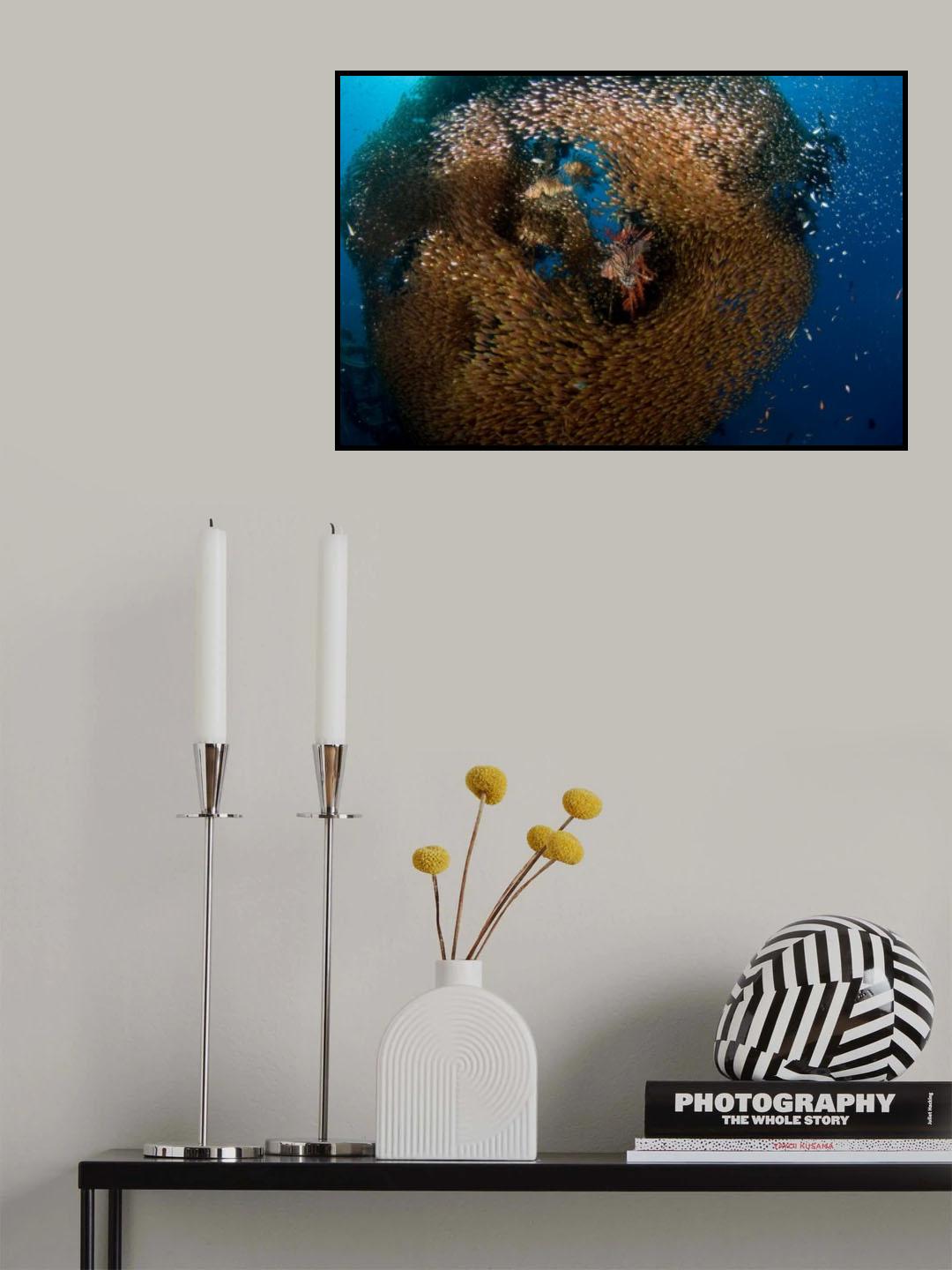 Glass and Lion Fish Poster och Canvastavla