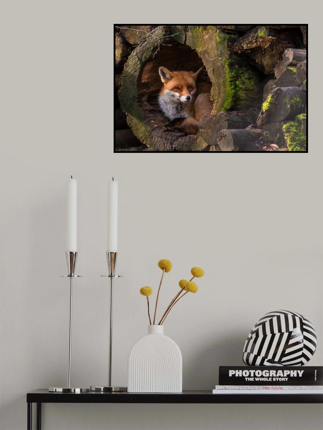 Fox Poster och Canvastavla