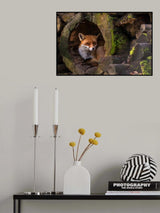 Fox Poster och Canvastavla