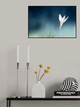 Lonely Poster och Canvastavla