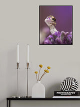 On the top Poster och Canvastavla