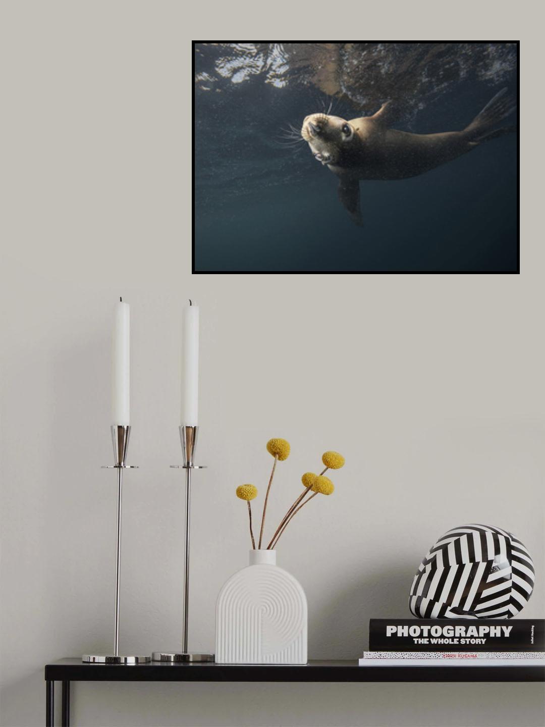 Looking for me ? Poster och Canvastavla