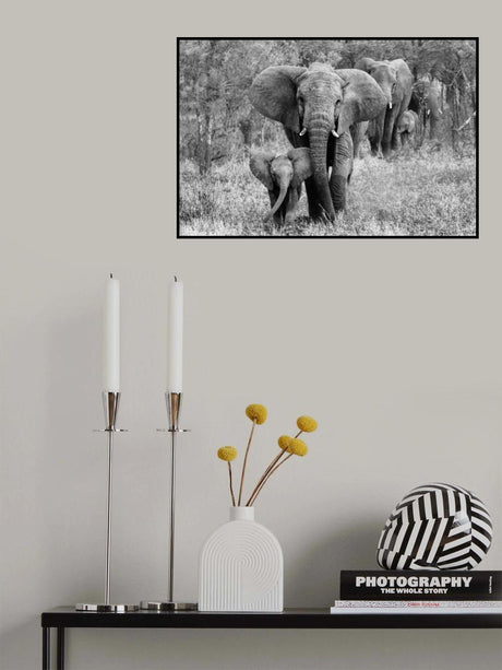 Elefamily Poster och Canvastavla