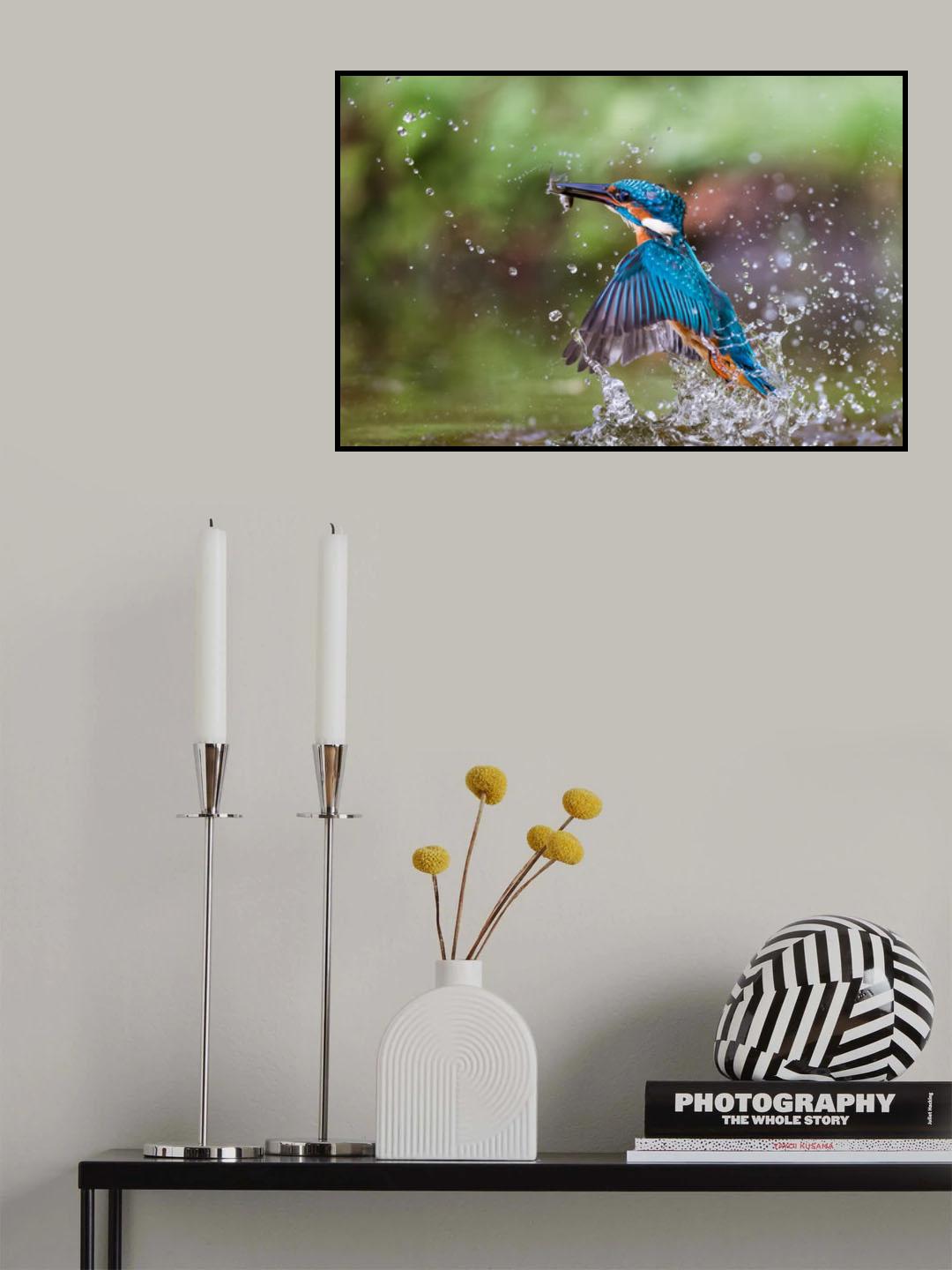 Kingfisher whit prey Poster och Canvastavla