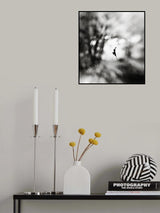 Equinox Poster och Canvastavla