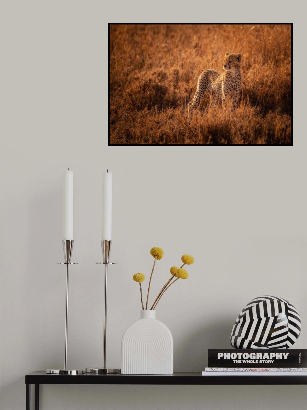 Rising Cub Poster och Canvastavla