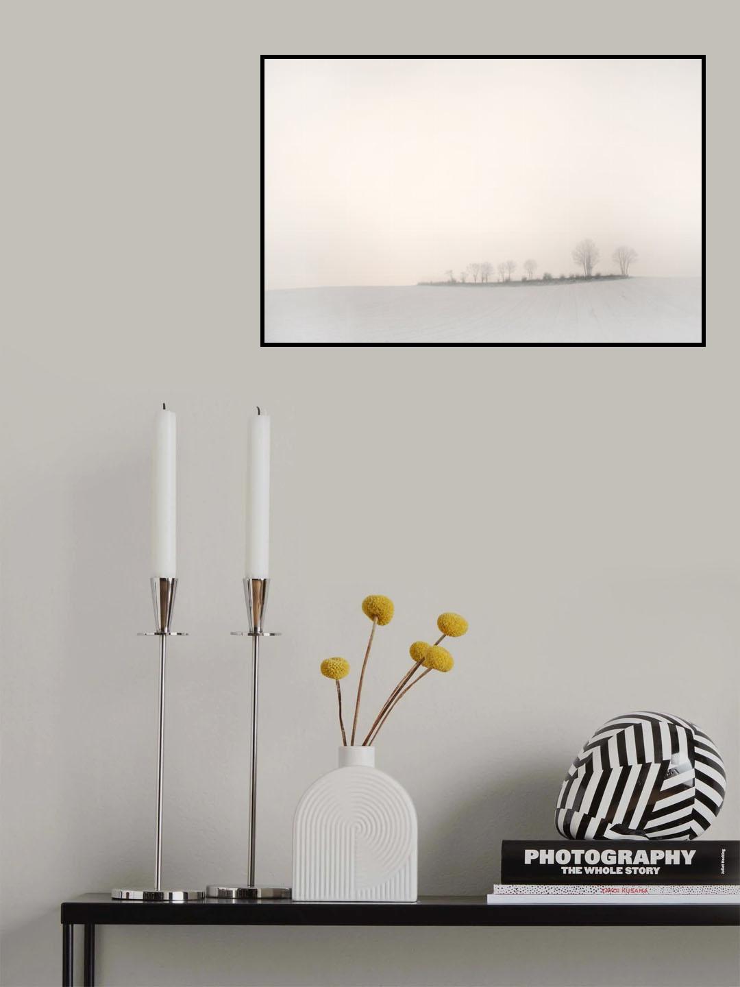 The softness of a winter morning Poster och Canvastavla