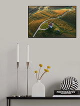Golden hill Poster och Canvastavla