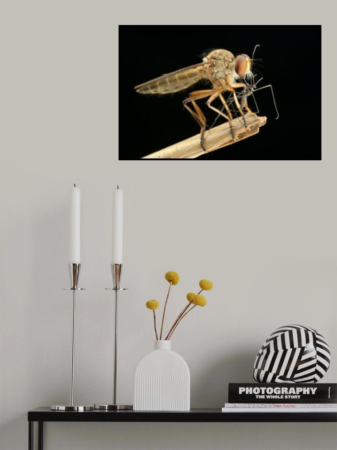 Eating Poster och Canvastavla