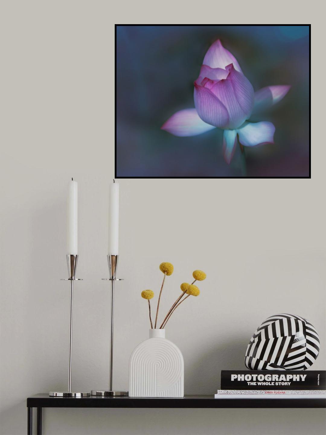 Lotus Poster och Canvastavla