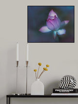 Lotus Poster och Canvastavla