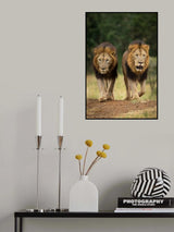 BROTHERS Poster och Canvastavla