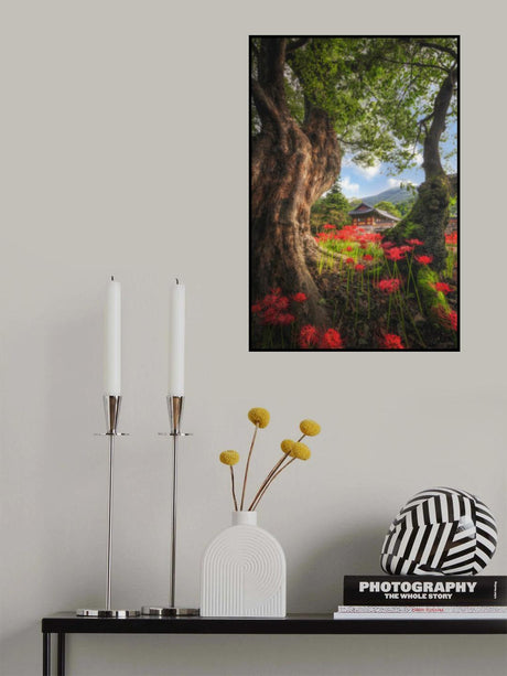Temple's Afternoon Poster och Canvastavla