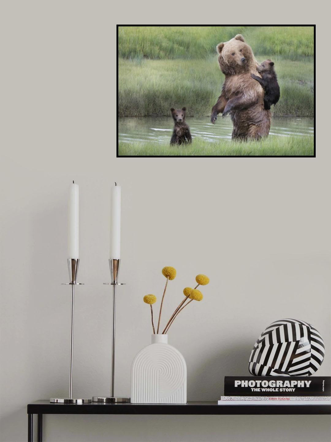 Momma Bear and Her Cubs Poster och Canvastavla