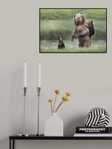 Momma Bear and Her Cubs Poster och Canvastavla