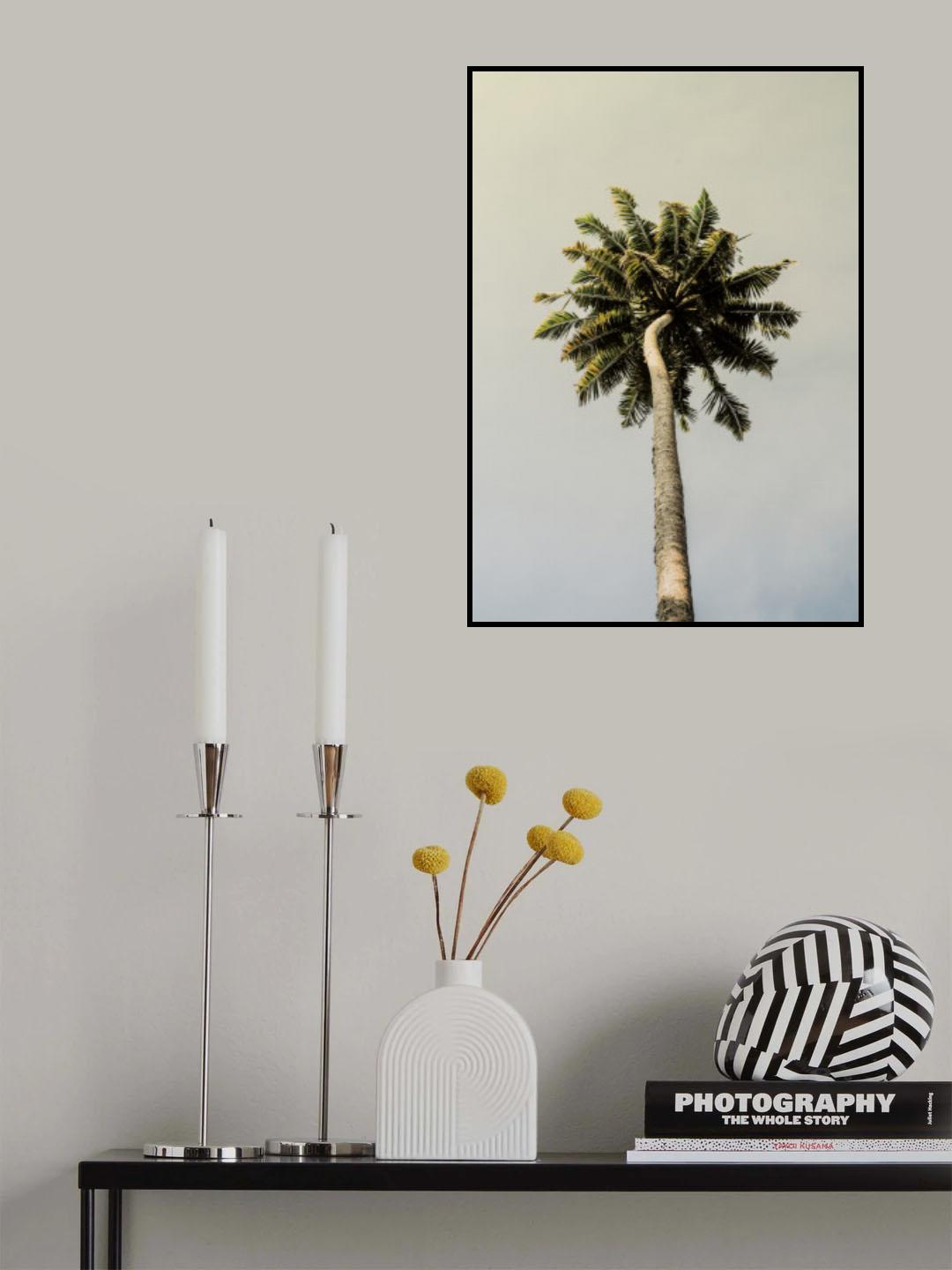 King Palm Poster och Canvastavla