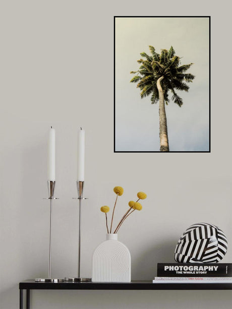 King Palm Poster och Canvastavla