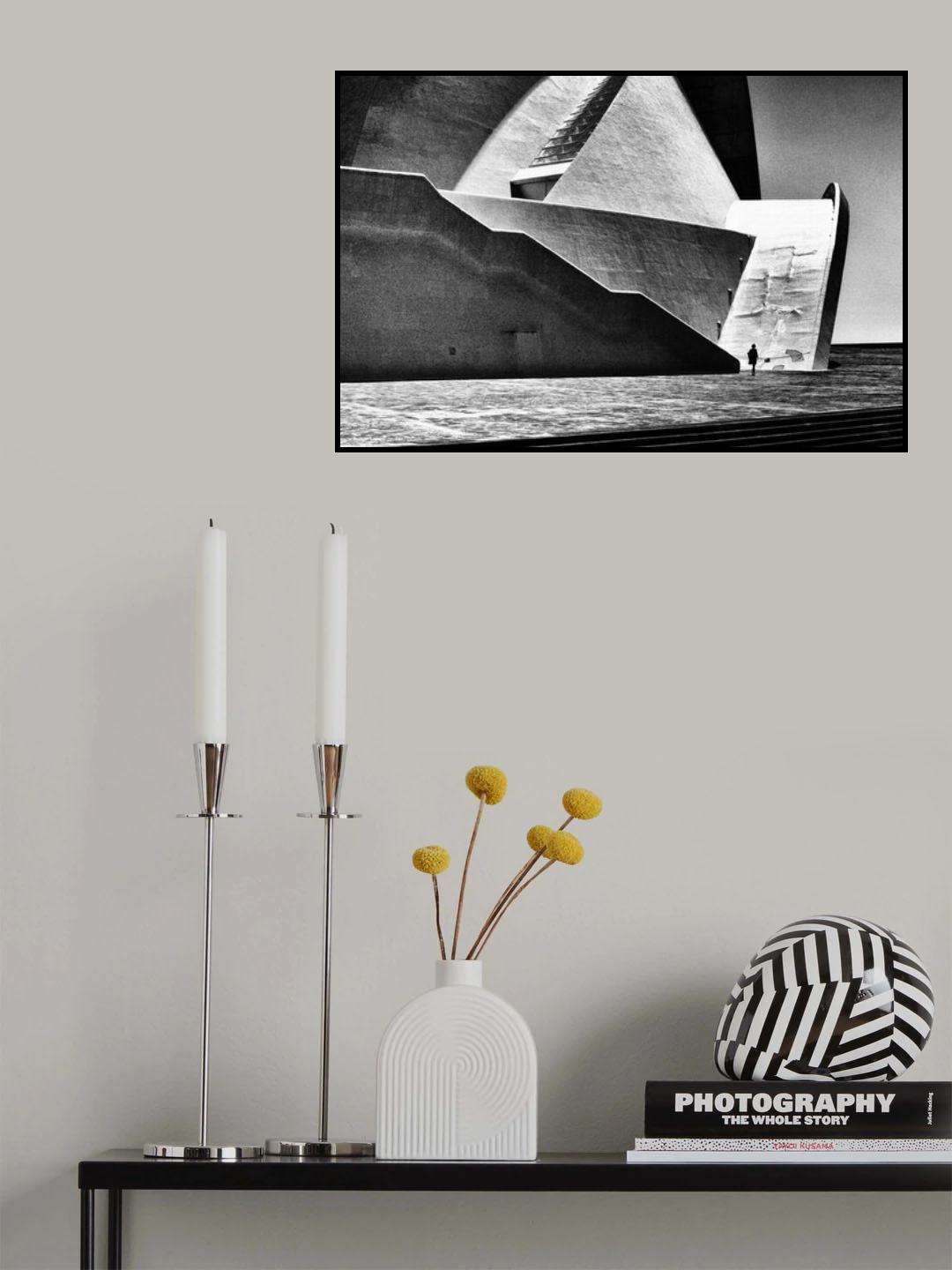 the lady Poster och Canvastavla