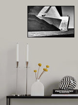 the lady Poster och Canvastavla