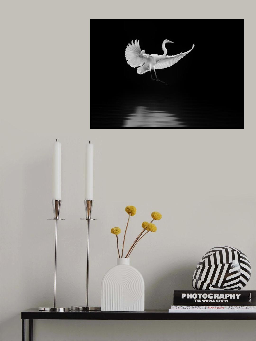 landing Poster och Canvastavla